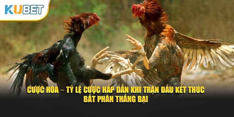 Cược Hòa – Tỷ lệ cược hấp dẫn khi trận đấu kết thúc bất phân thắng bại