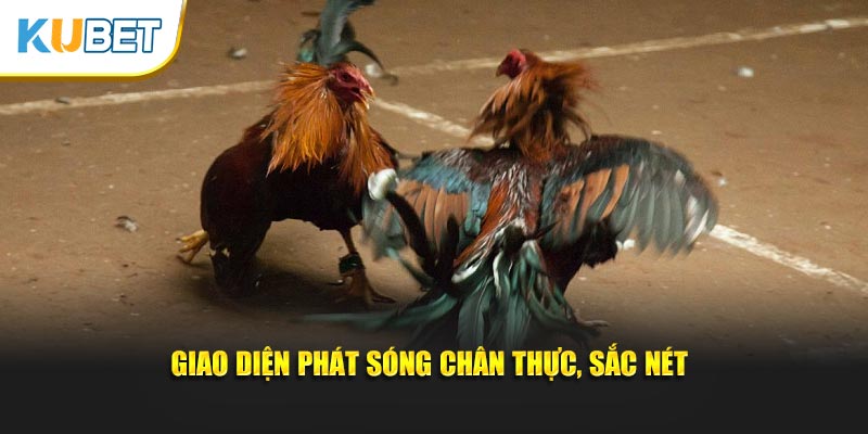 Giao diện phát sóng chân thực, sắc nét