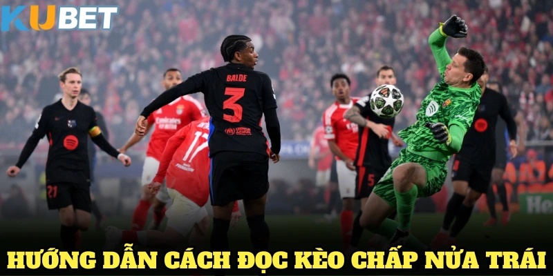 Hướng dẫn cách đọc tiêu chuẩn nửa trái từ KUBET