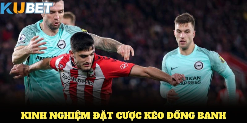 Kinh nghiệm đặt cược kèo đồng dành cho người chơi mới