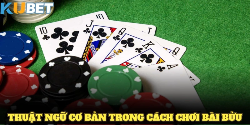 Một số thuật ngữ cơ bản trong cách chơi bài bửu bạn cần nắm